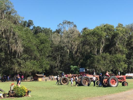 Coon Hollo Farm