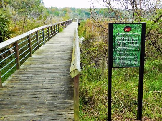 Cooter Pond Park