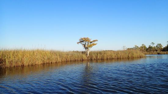 Yellow River Marsh Aquatic Preserve