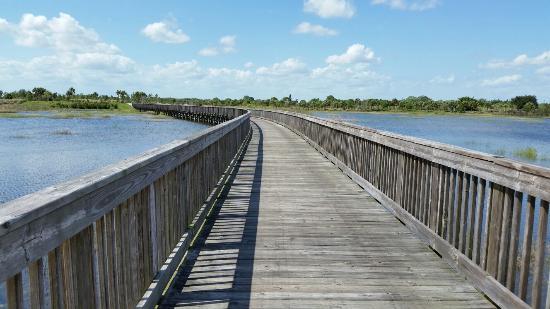 Wellington Environmental Preserve