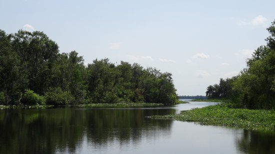 Lake Woodruff National Wildlife Refuge