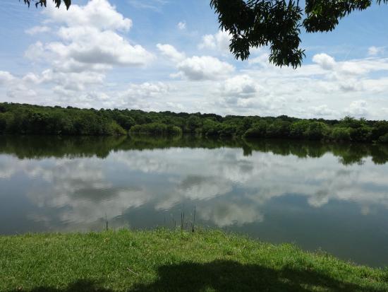 Saddle Creek Park