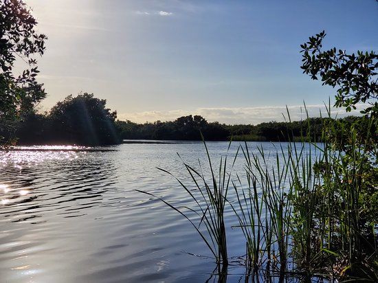 Paurotis Pond