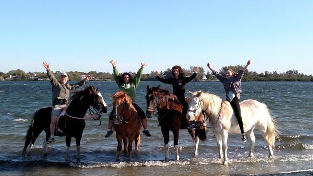 The Real BeachHorses