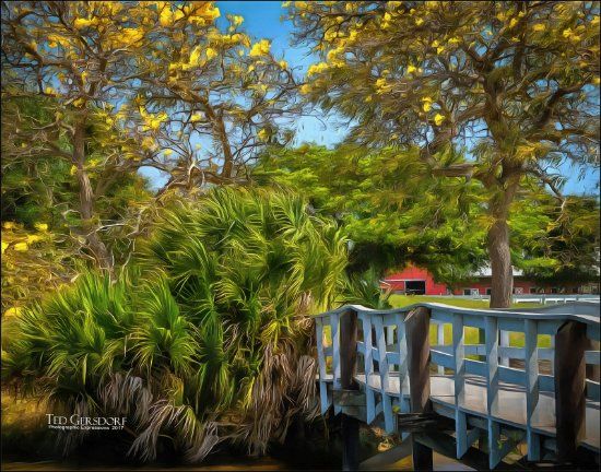 Tradewinds Park
