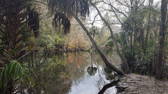 Morris Bridge Park