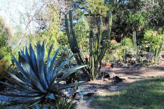 University of South Florida Botanical Gardens