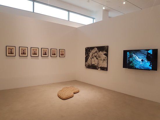 De la Cruz Collection Contemporary Art Space