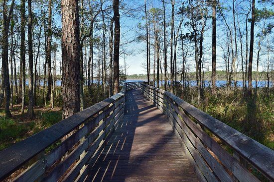 Tarkiln Bayou Preserve State Park