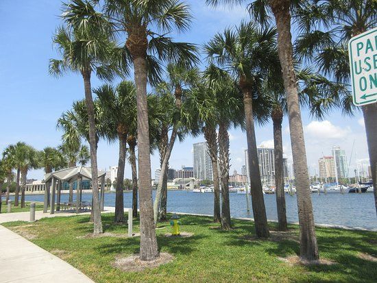 Albert Whitted Park