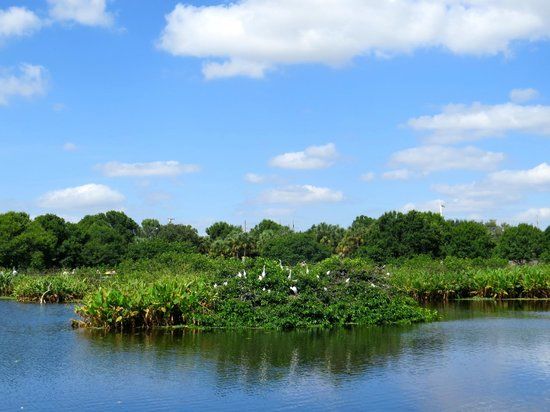 Wakodahatchee Wetlands
