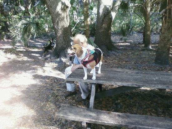Woodmere Dog Park