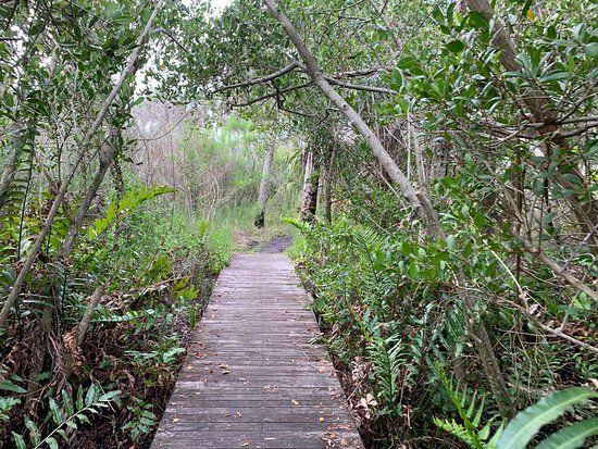 Alligator Creek Preserve