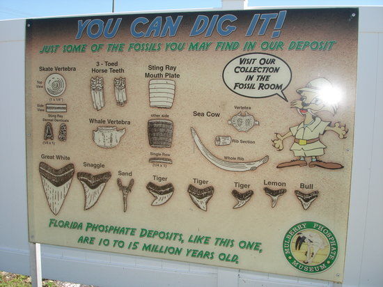 Mulberry Phosphate Museum