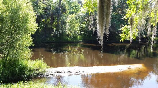 Paynes Creek Historic State Park