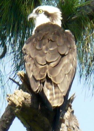 Lake Seminole Park