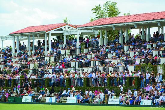 International Polo Club