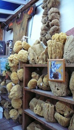 Sponge Exchange