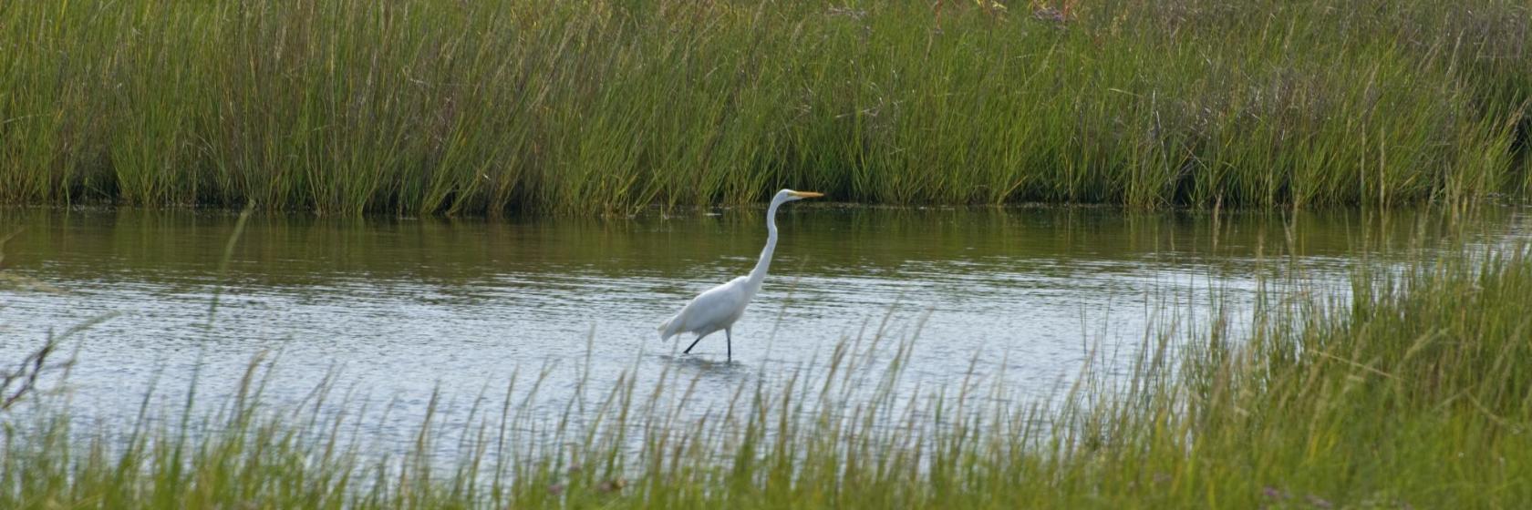 Jensen Beach to Jupiter Inlet Aquatic Preserve