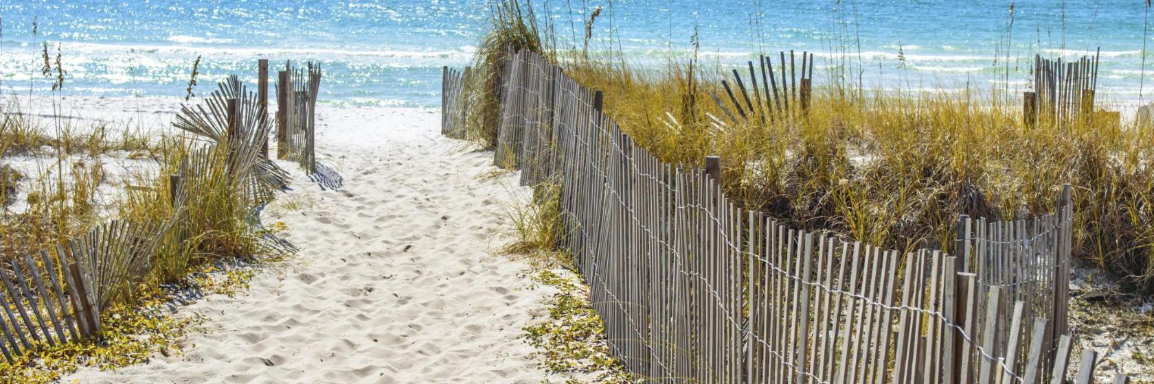 Henderson Beach State Recreation Area